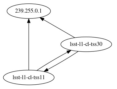 Network topology for the full system in shared memory mode